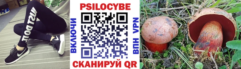 наркошоп  мега ссылка  Галлюциногенные грибы GOLDEN TEACHER  Шали 
