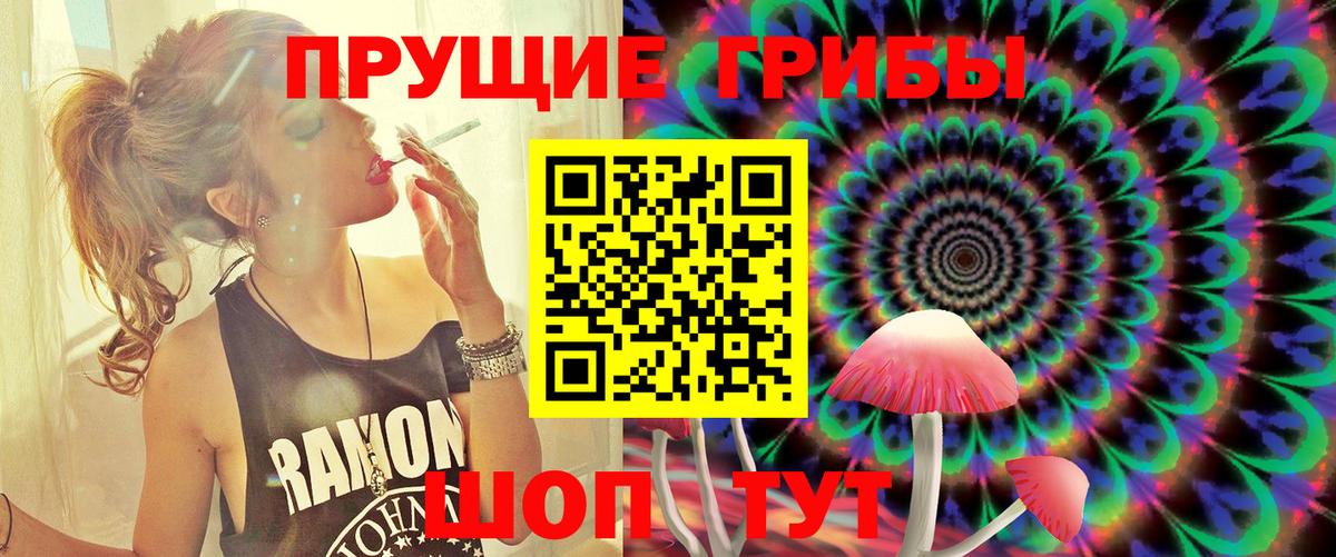 Галлюциногенные грибы мицелий Шали