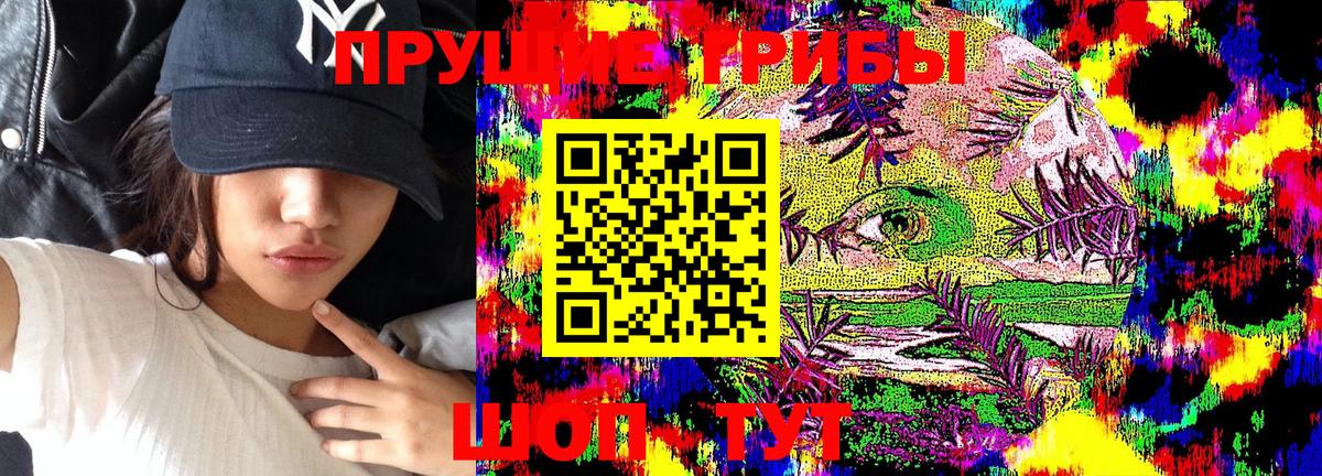 Галлюциногенные грибы Psilocybine cubensis  купить наркотики сайты  Шали 